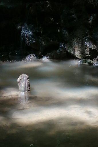 The Aqueduct of Seyssuel film afişi