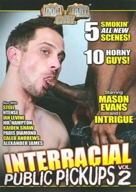 Interracial Public Pickups 2 film afişi