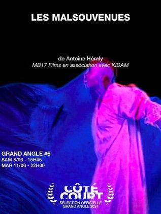Les malsouvenues film afişi