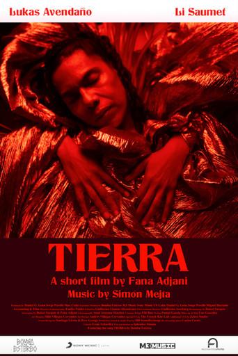 Tierra film afişi