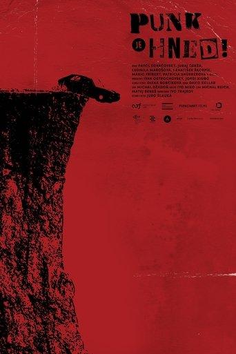 Punk je hned! film afişi