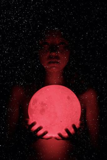 Luminous Void: Docudrama film afişi