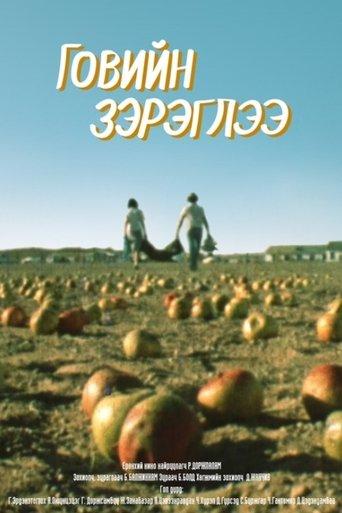 Mirage Above the Gobi Desert film afişi