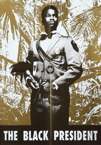 Black President film afişi