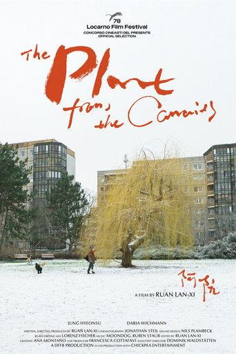 The Plant from the Canaries film afişi