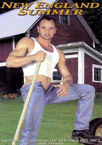 New England Summer film afişi