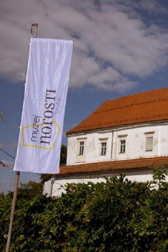 Museum of Madness film afişi