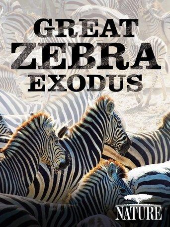 Nature: Great Zebra Exodus film afişi