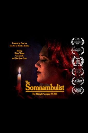 The Somnambulist film afişi