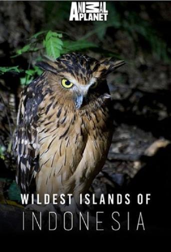 Wildest Islands of Indonesia dizi afişi