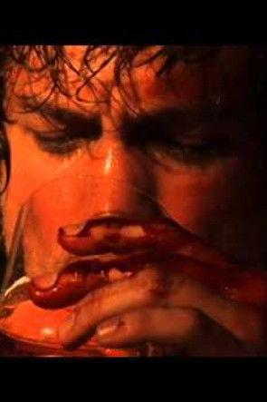 Vale Tudo Project film afişi