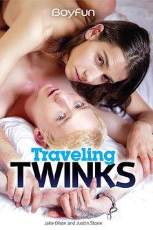 Traveling Twinks film afişi