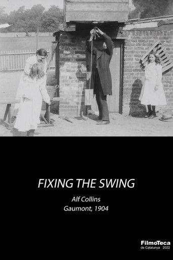 Fixing the Swing film afişi