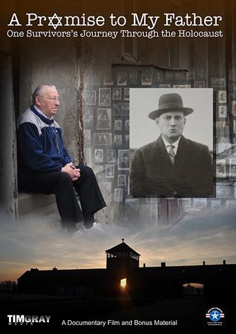 A Promise to My Father film afişi