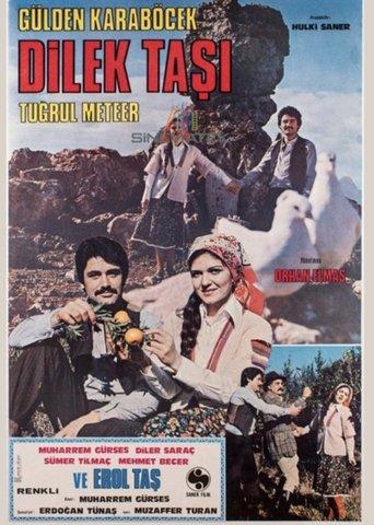 Dilek Taşı film afişi