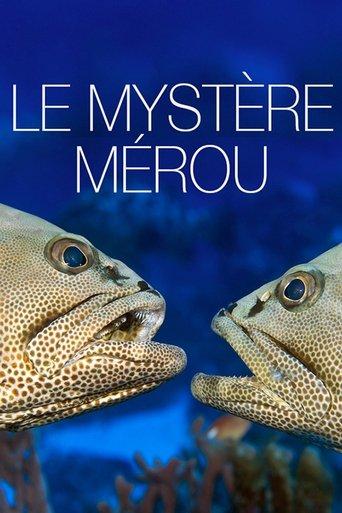 The Grouper Mystery film afişi