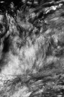 There is Nothing Left of the sea but its Sound film afişi