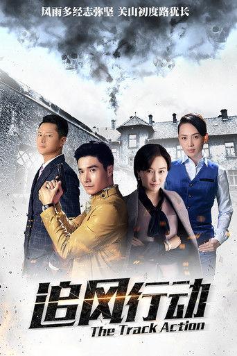 追风行动 dizi afişi