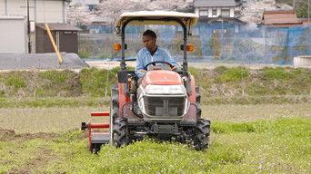 A Budding Farmer Dreams of Peanuts