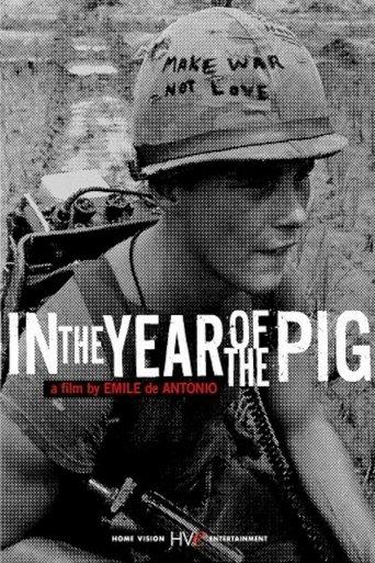 In the Year of the Pig film afişi