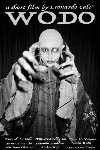 Wodo film afişi