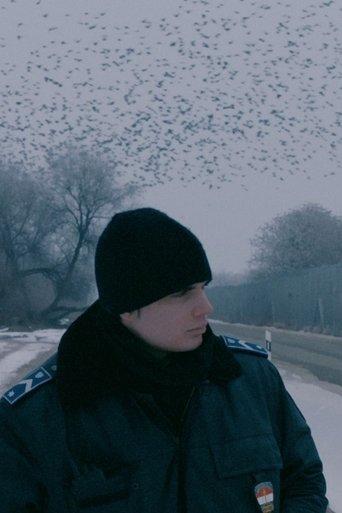 Everything Alright film afişi