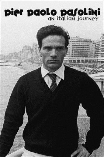 Pier Paolo Pasolini: An Italian Journey film afişi
