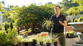 Hole Patches; Threshold Repair