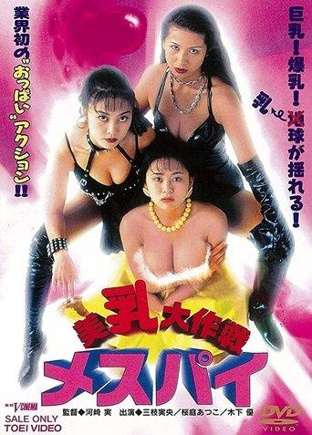 Miss Spy film afişi