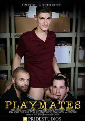 Playmates film afişi