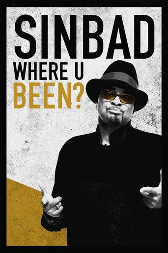 Sinbad: Where U Been? film afişi