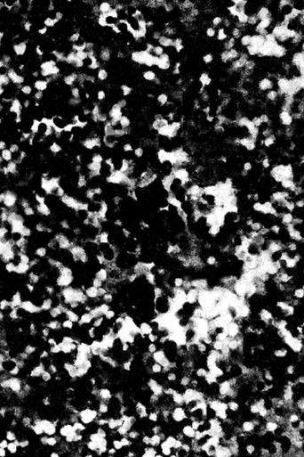 Ramusiana film afişi