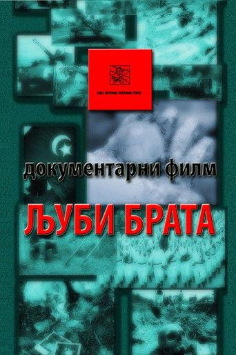 Kiss the Brother film afişi