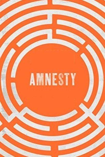 Amnesty film afişi