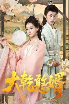 大乾憨婿 dizi afişi