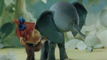 Where Is The Baby Elephant Headed?