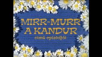 Mirr Murr, a kandúr
