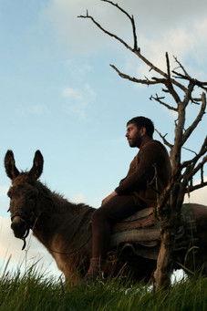 Mona Lisa film afişi