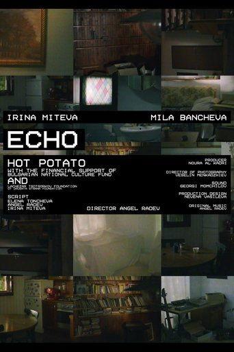 ECHO film afişi