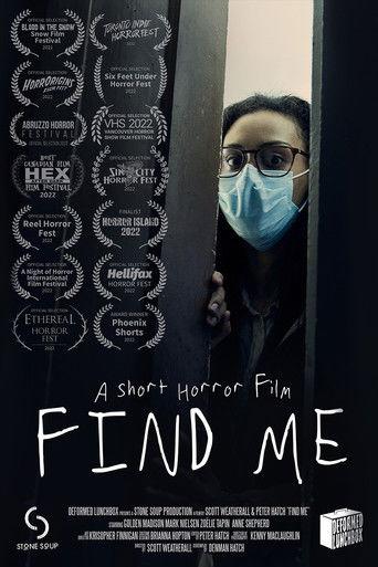 Find Me film afişi