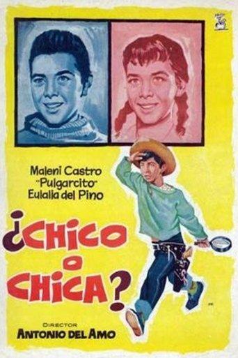 ¿Chico o chica? film afişi