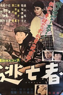 The Fugitive film afişi