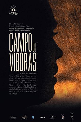 Campo de Víboras film afişi