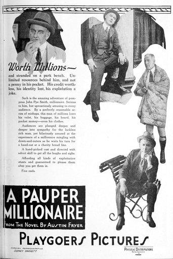 The Pauper Millionaire film afişi