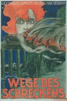 Labyrinth of Horror film afişi