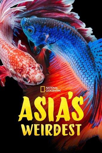 Asia's Weirdest dizi afişi