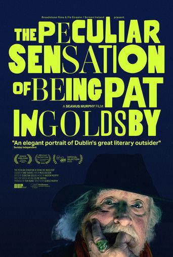 The Peculiar Sensation of Being Pat Ingoldsby film afişi