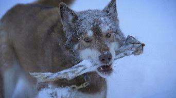 Can't Change the Fear