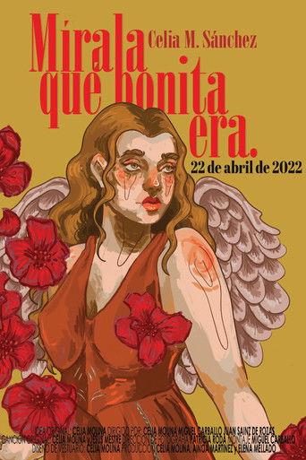 Look how beautiful she was film afişi