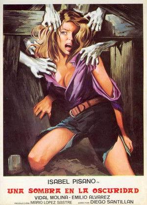 Una sombra en la oscuridad film afişi